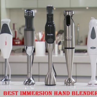 Best Immersion hand Blender